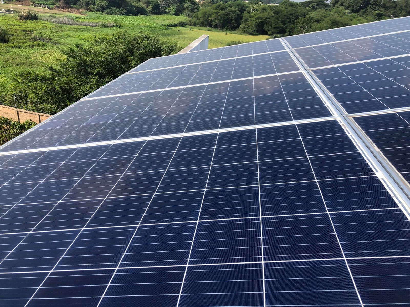 Galería Connera Shop 1